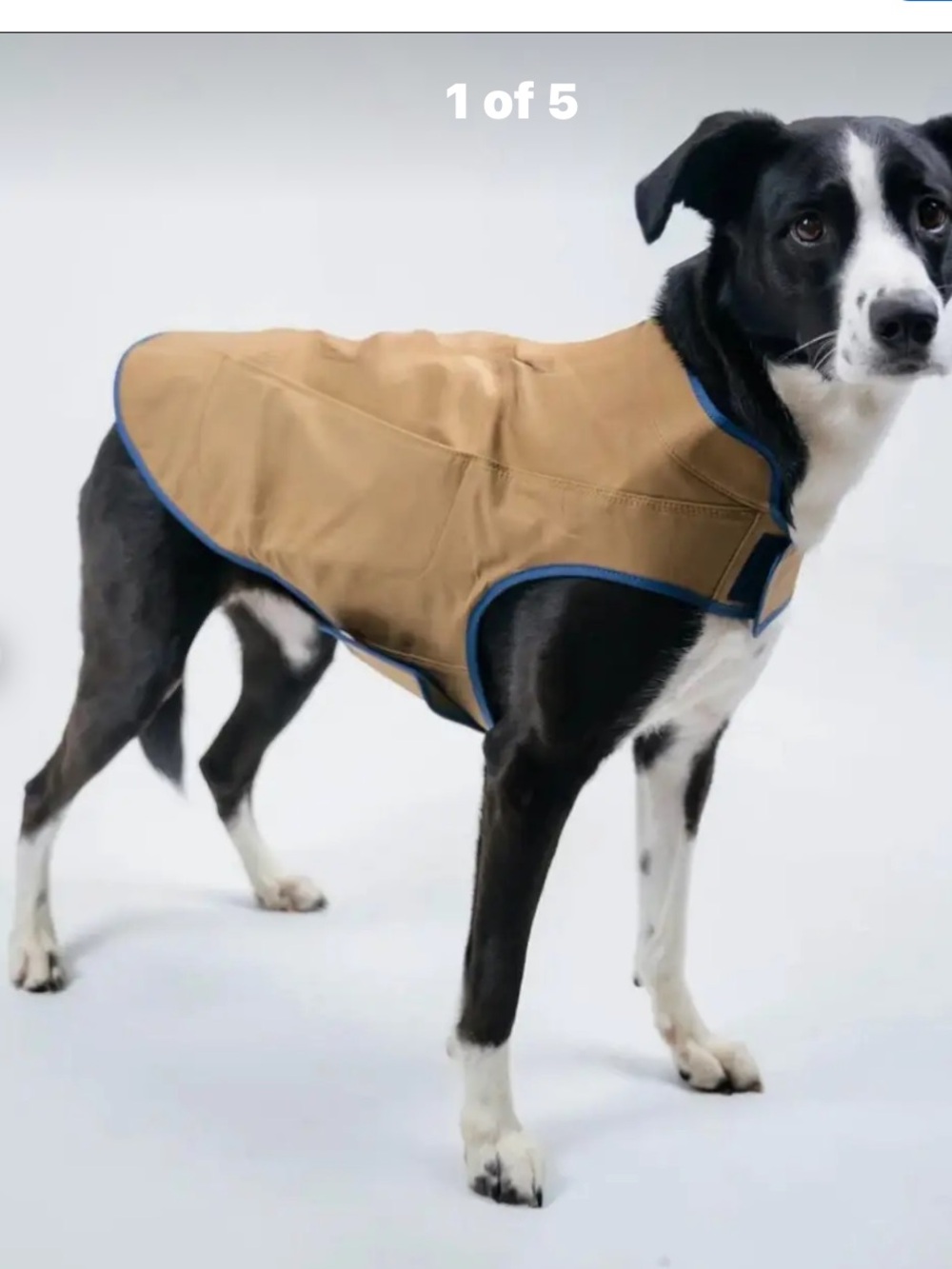 Mountain Khakis Dog's Camber Original Dog Vest